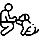 Dog respect value icon 