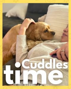 Cudle