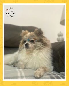 Abby