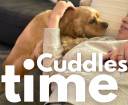 Cuddles