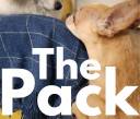 The Pack